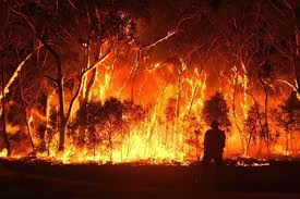 Australia Wildfires