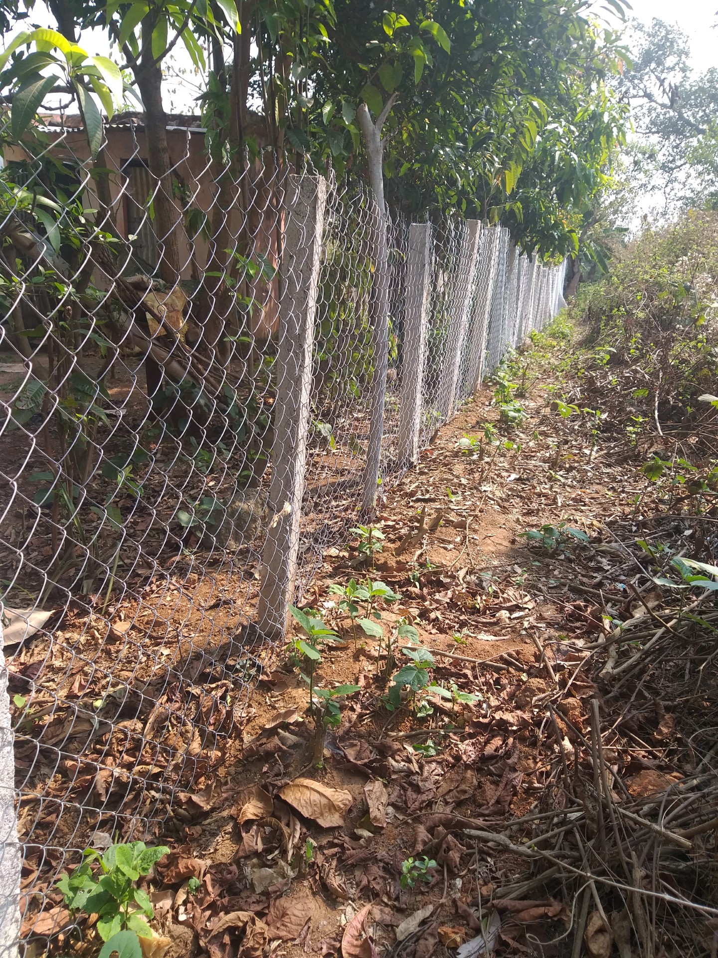 Orissa School Fence